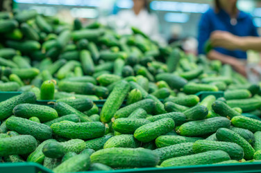 Similar image 1554029