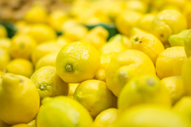 Similar image 1554030