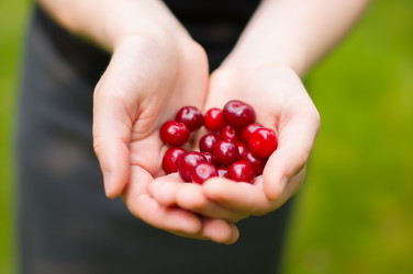 Similar image 1554114