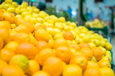 Similar image 1554205