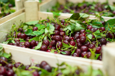 Similar image 1554213