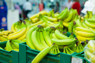 Similar image 1554216