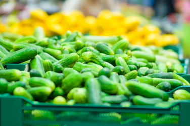 Similar image 1554217