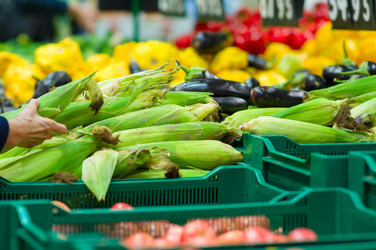 Similar image 1554226