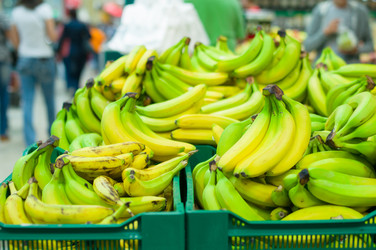 Similar image 1554227