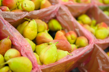 Similar image 1554238