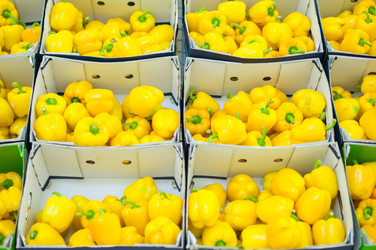 Similar image 1554240