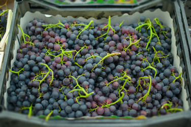 Similar image 1554245