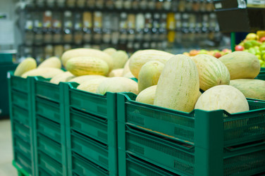 Similar image 1554261