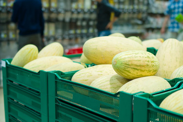 Similar image 1554262