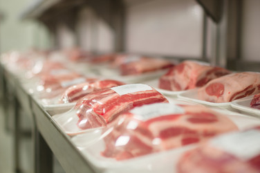 Similar image 1554285