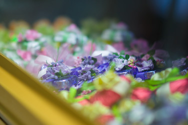 Similar image 1554289