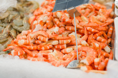 Similar image 1554298