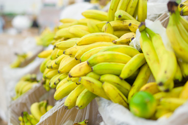 Similar image 1554299