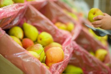 Similar image 1554349