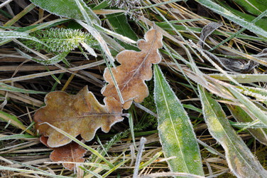 Similar image 1554356