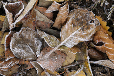 Similar image 1554358