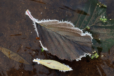 Similar image 1554361