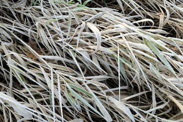 Similar image 1554362