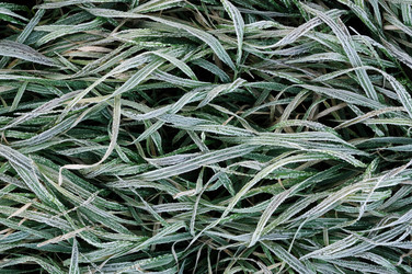 Similar image 1554364