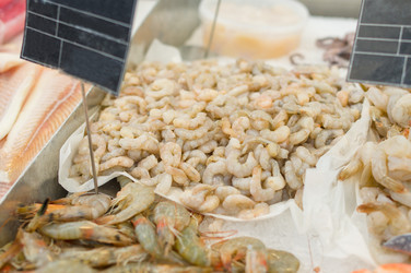 Similar image 1554376