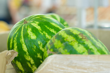 Similar image 1554382