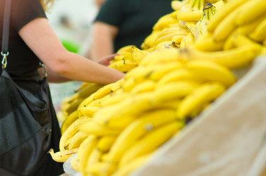 Similar image 1554384