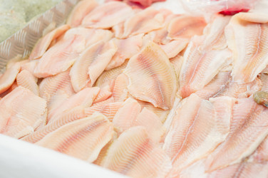 Similar image 1554386