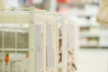 Similar image 1554411