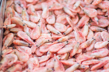 Similar image 1554463