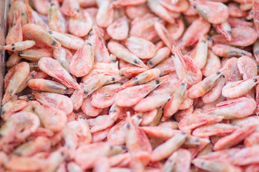 Similar image 1554464