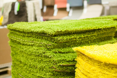 Similar image 1554500