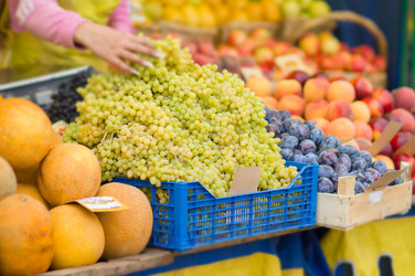 Similar image 1554607