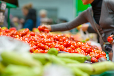 Similar image 1554639