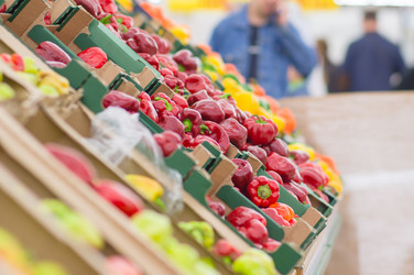 Similar image 1554666