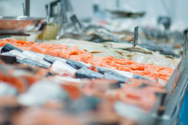 Similar image 1554673