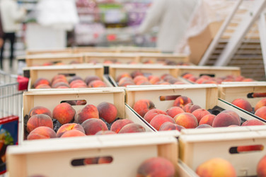 Similar image 1554677