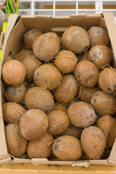 Similar image 1554696