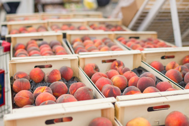 Similar image 1554707