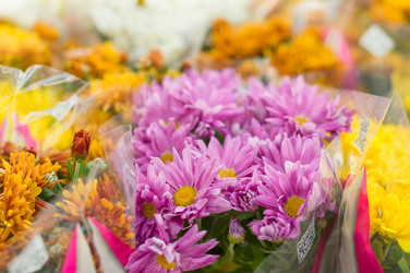 Similar image 1554728