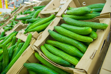 Similar image 1554743