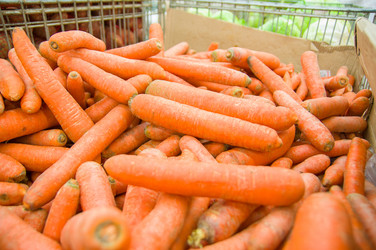 Similar image 1554748