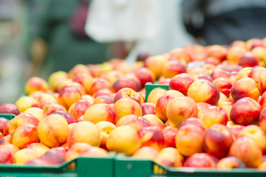 Similar image 1554761