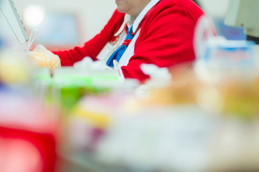 Similar image 1554782