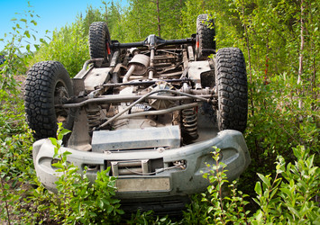 Similar image 1554824