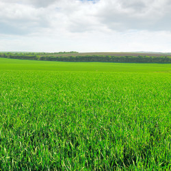 Similar image 1554826