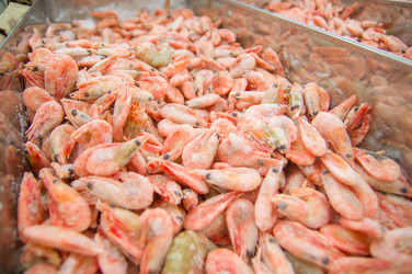 Similar image 1554841