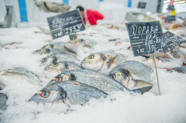 Similar image 1554846