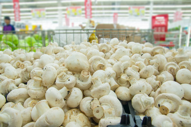 Similar image 1554850