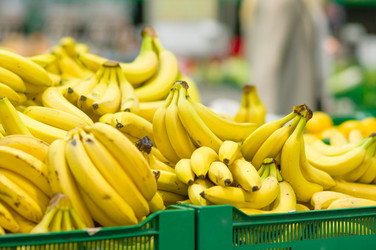 Similar image 1554872